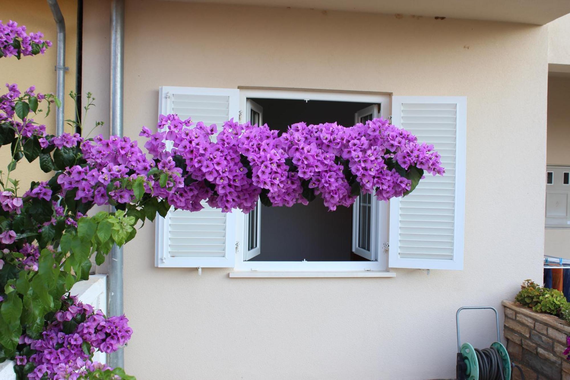 Apartment Mladen Biograd Na Moru Exterior photo